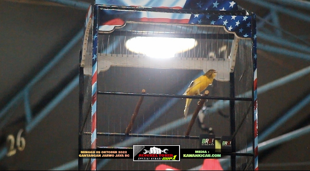 photo 1665495441423