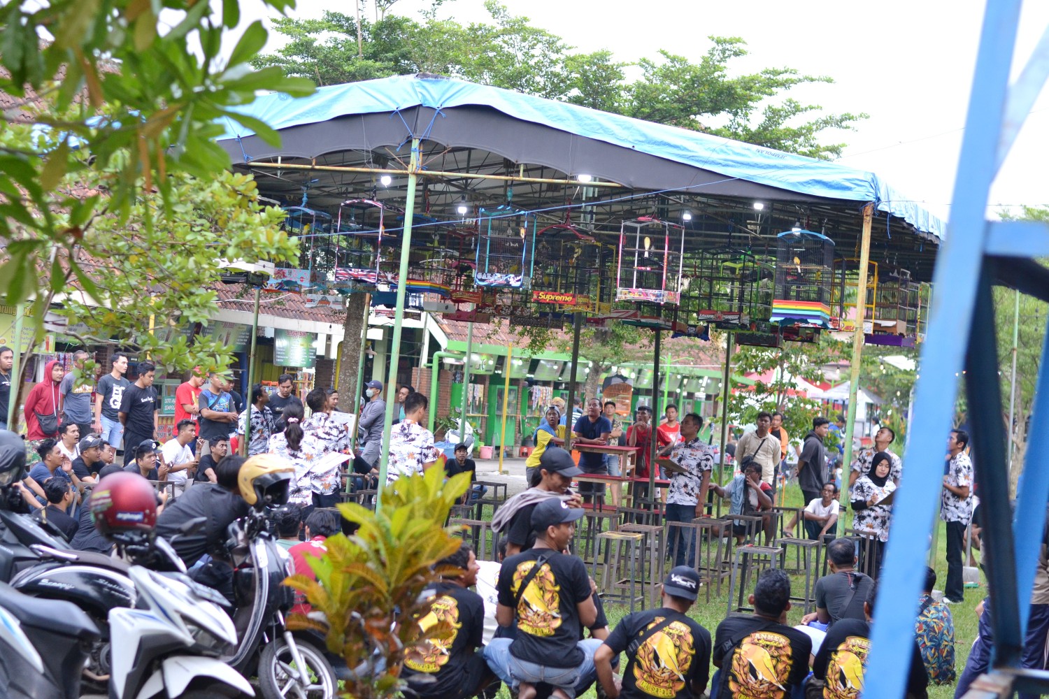 img 20221214 095317