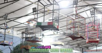 img 20240203 wa0002