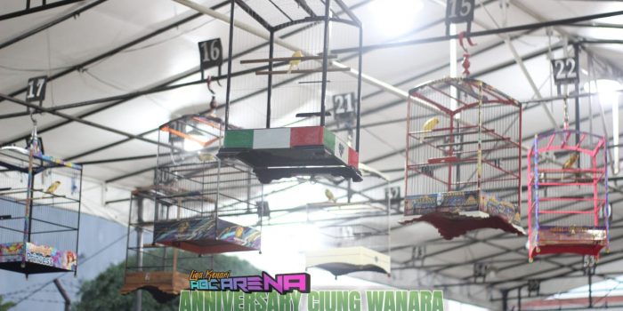 img 20240203 wa0002